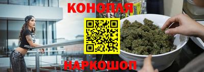 сатива Лесосибирск