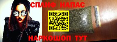 сатива Лесосибирск