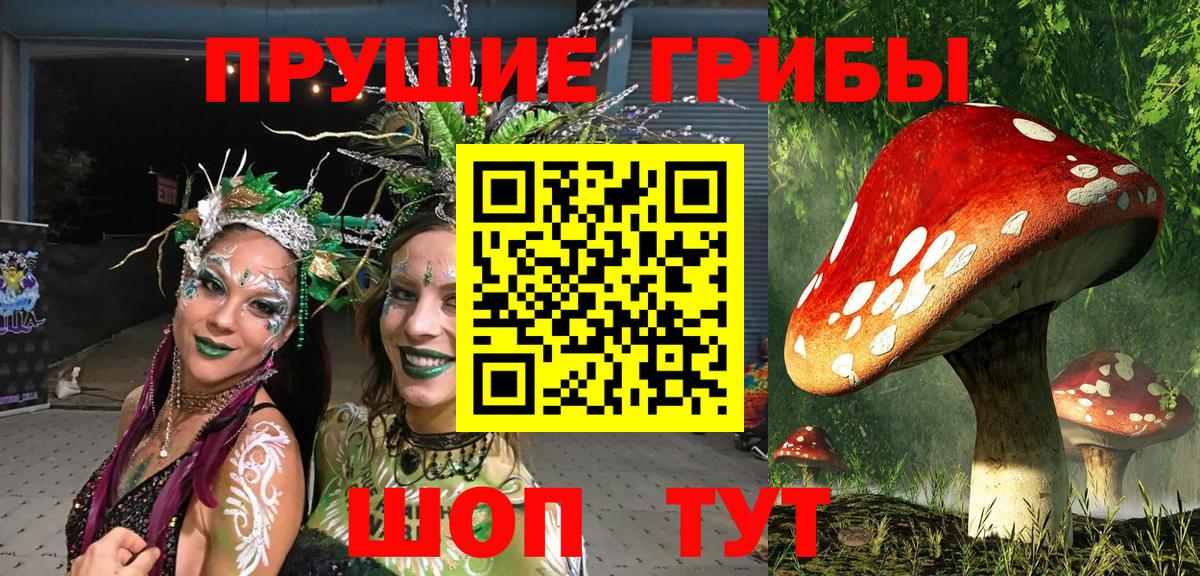Вязьма  Псилоцибиновые грибы Cubensis  Галлюциногенные грибы мицелий  Вход с VPN 